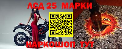 гидропоника Краснознаменск