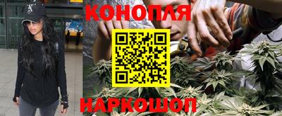 гидропоника Краснознаменск