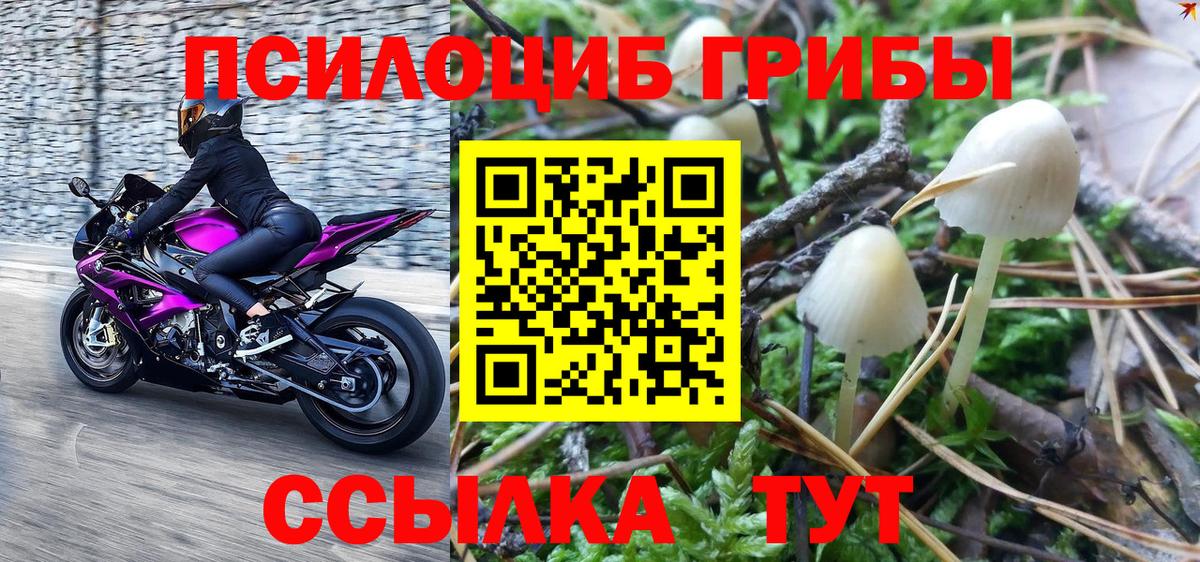 Галлюциногенные грибы Cubensis  Вход с VPN  Тула 